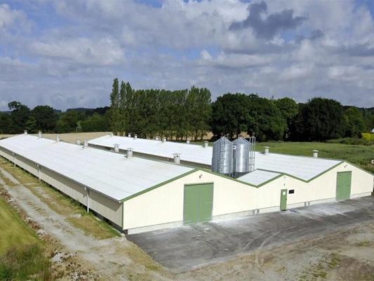 Stahlkonstruktions-Lager-Produktions-Werkstatt-Huhn und Geflügelfarm XDEM