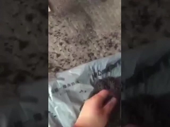 Arbeitsvideo zur Granulierung von Kugeldünger