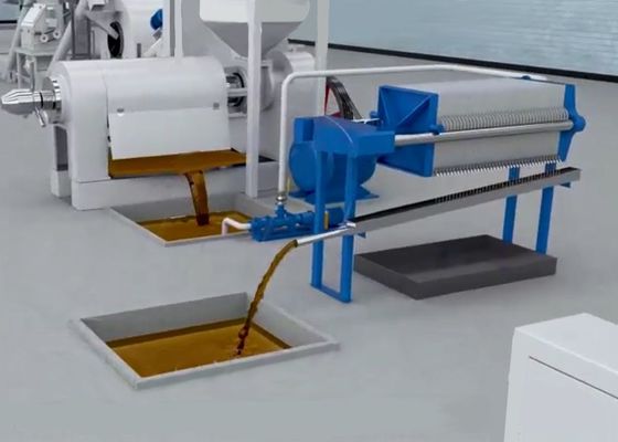 XDEM Palmkerne Shell Peeling Crushing Oil Press Machine Automatisches System zum Knacken und Trennen von Palmnüssen
